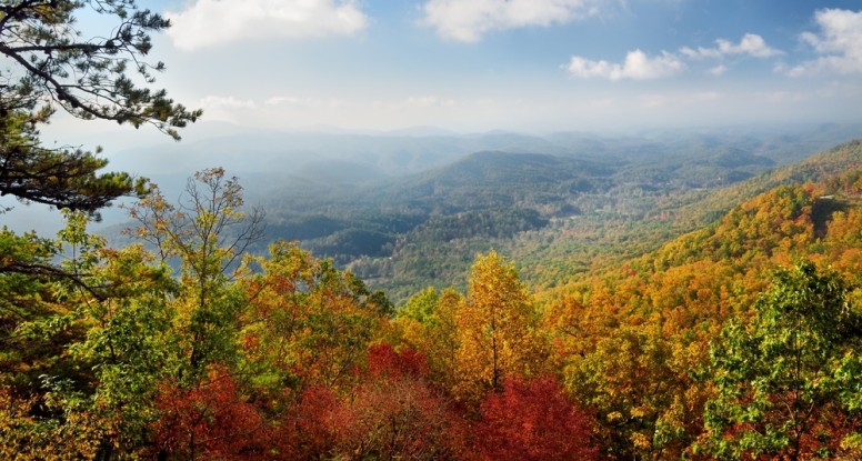 View of the fall colors in the Smoky Mountains