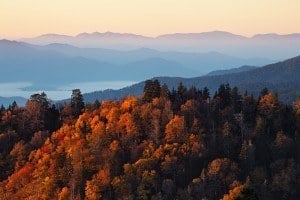 Photo of the fall colors in the Smoky Mountains.
