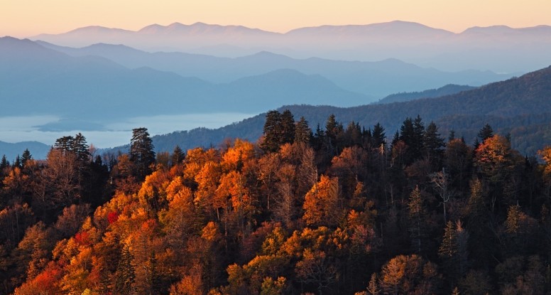 Photo of the fall colors in the Smoky Mountains.