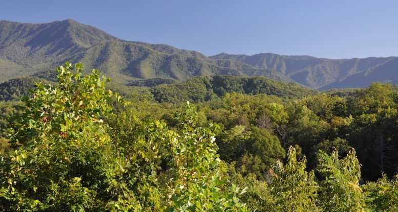 beautiful photo of Smoky Mountains in summer