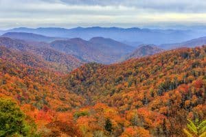 smoky mountain fall foliage