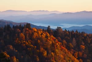 fall foliage in the Smoky Mountains