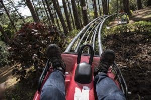 person on a mountain coaster