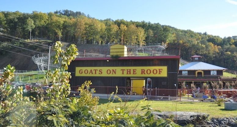 Goats on the Roof Building