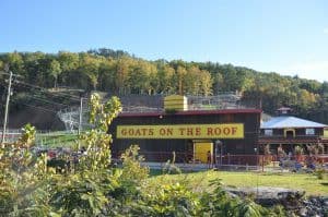 goats on the roof attraction in pigeon forge tennessee