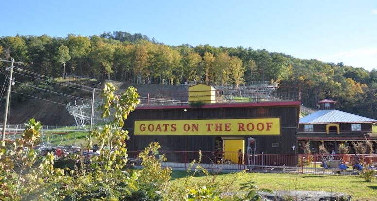 goats on the roof attraction in pigeon forge tennessee