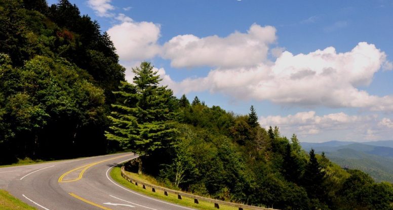 newfound gap road