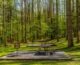 picnic areas in smoky mountains