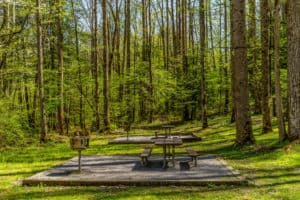 picnic area smoky mountains