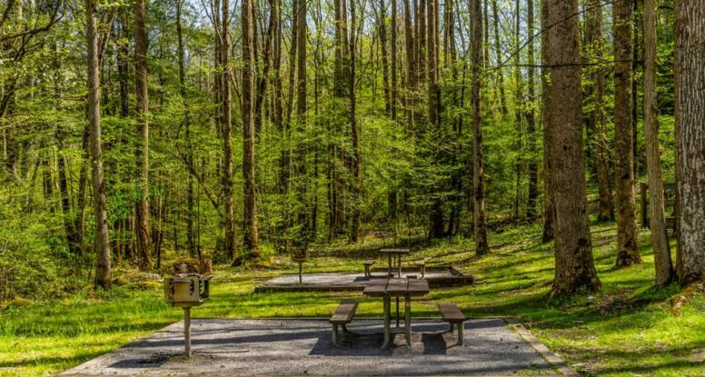 picnic areas in smoky mountains