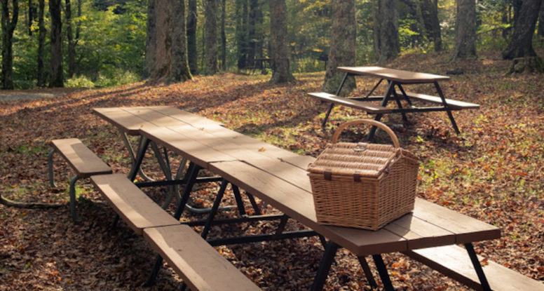 smoky mountain picnic area