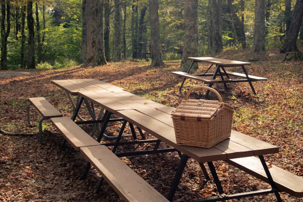 Top 5 Smoky Mountain Picnic Areas Your Family Will Love