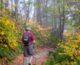 hiking in the smoky mountains during fall