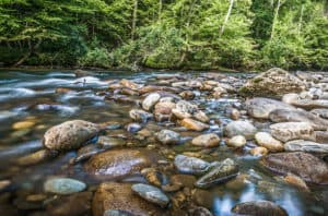 Metcalf Bottoms Creek