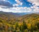 colorful trees in the Smoky Mountains during autumn