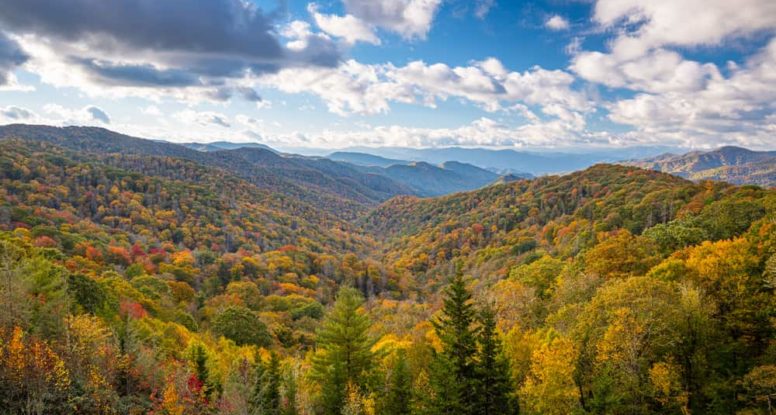 colorful trees in the Smoky Mountains during autumn