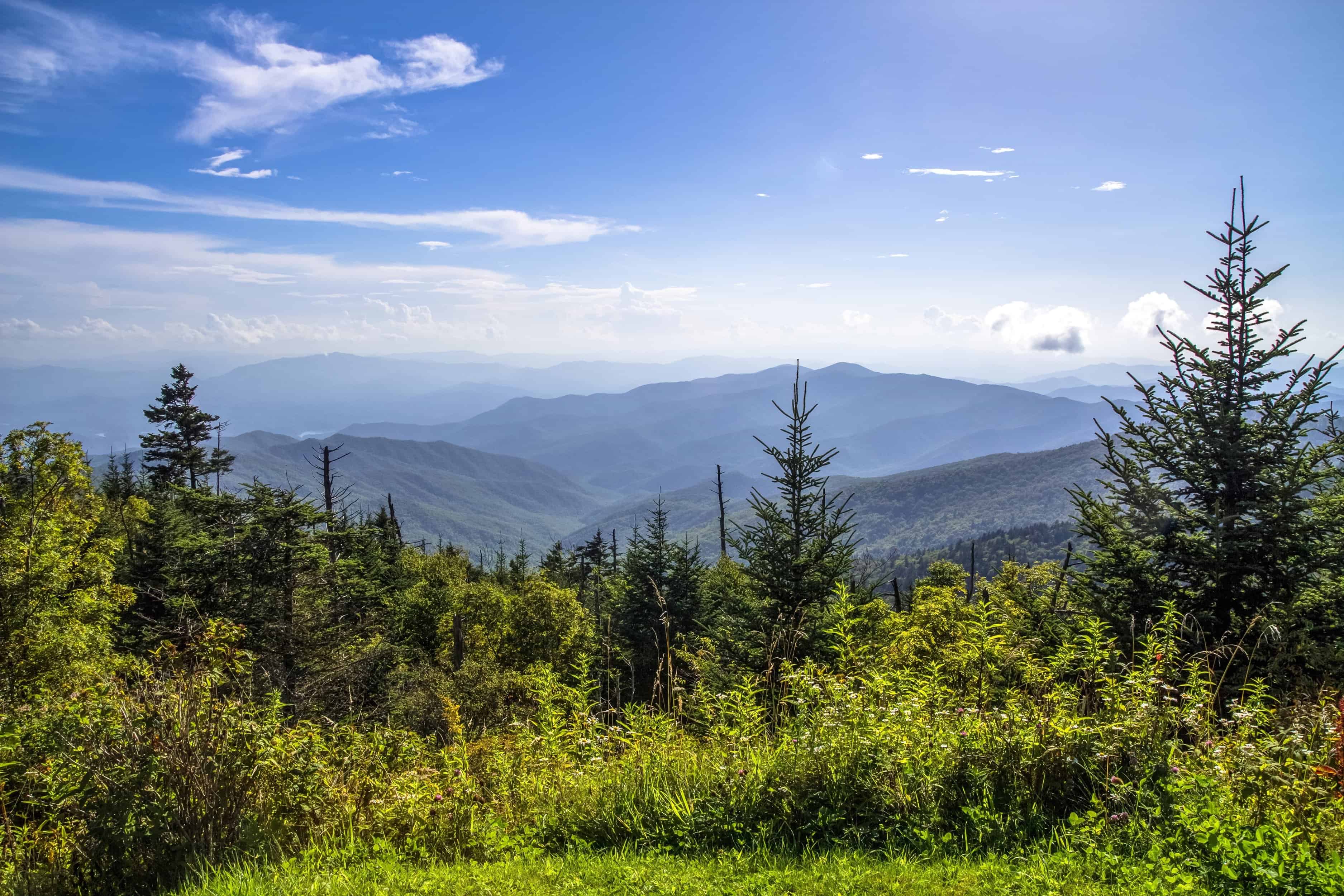 Top 4 Places to Visit for the Best Views in the Smoky Mountains